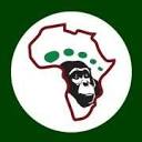 Africa Adventure Vacations icon