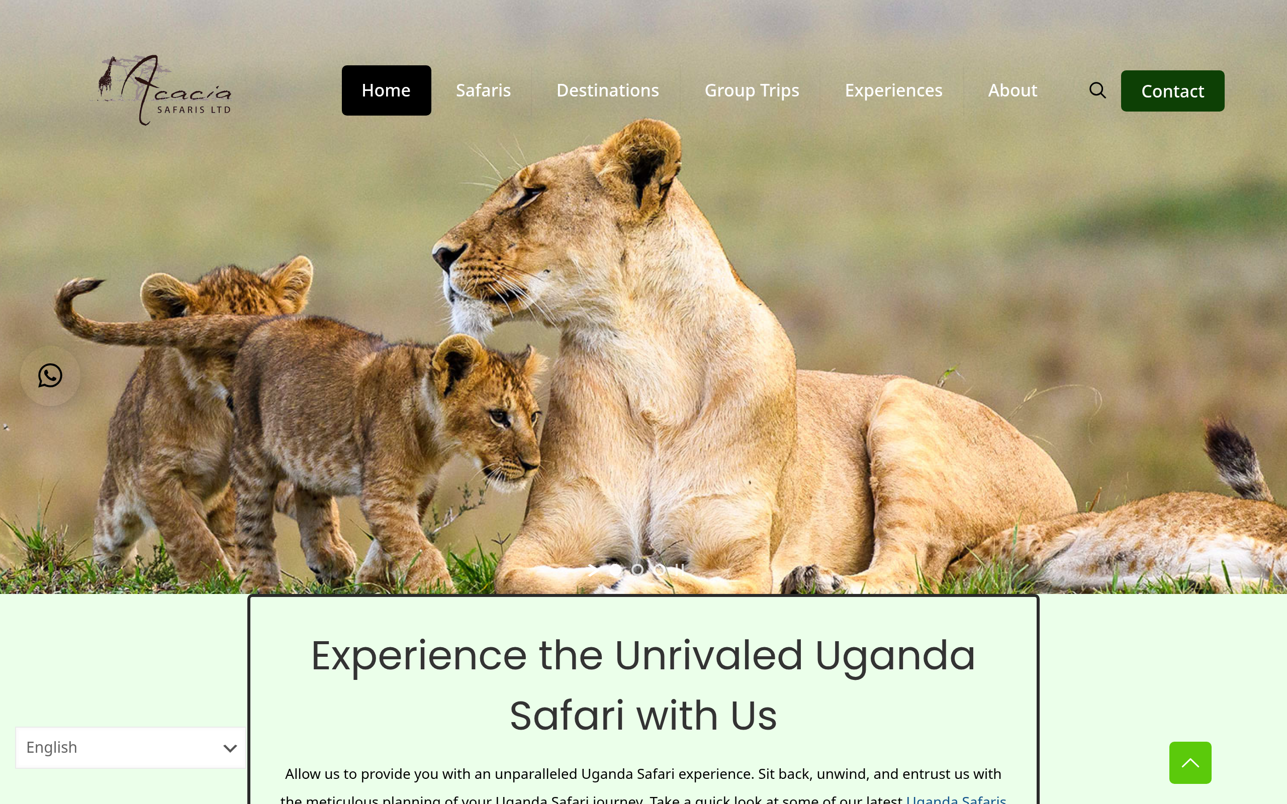 Acacia Safari Uganda website preview