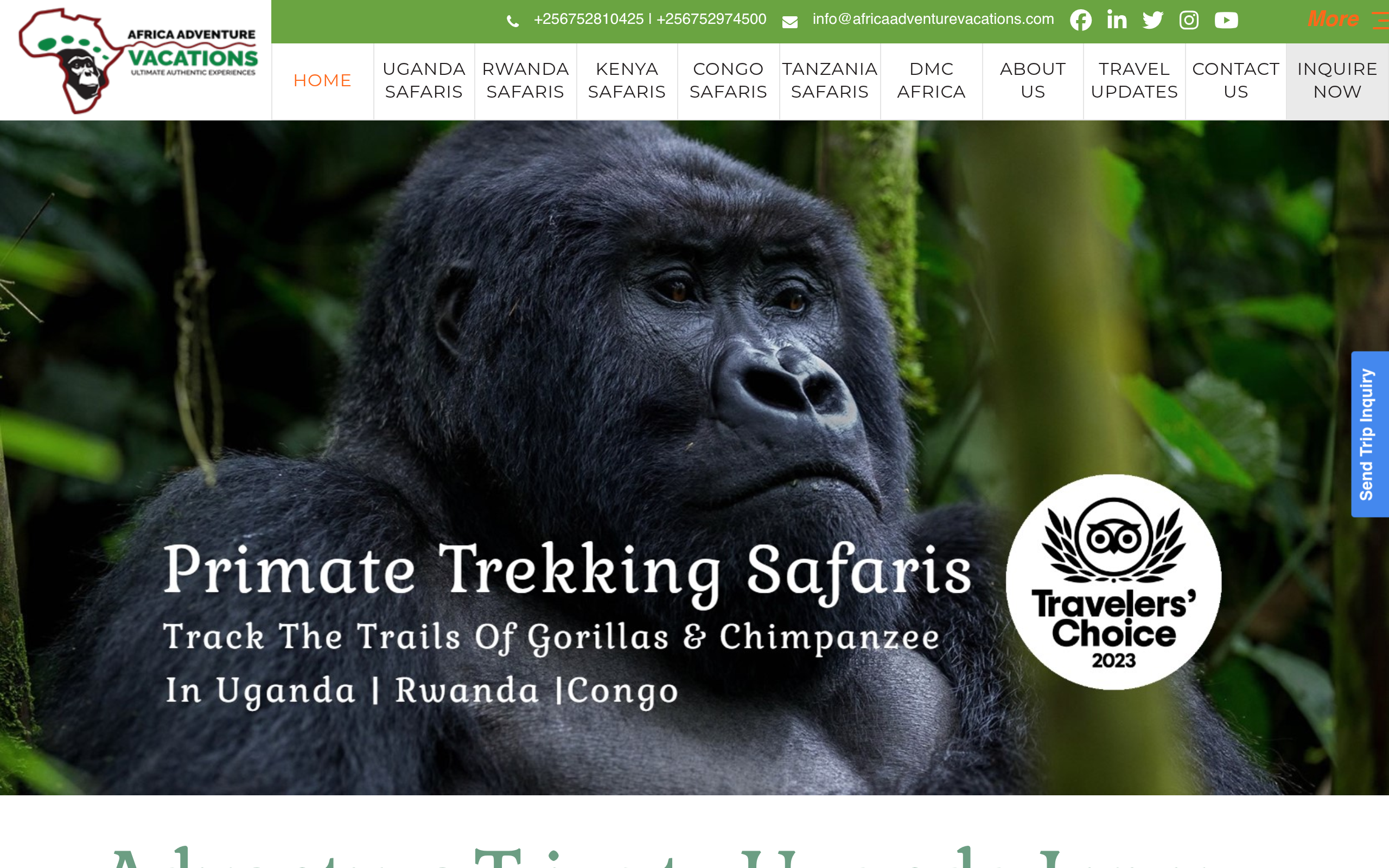 Africa Adventure Vacations website preview