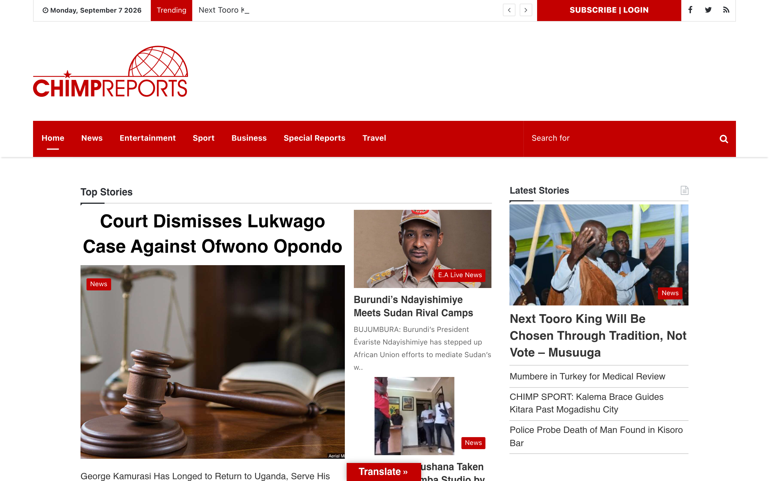 ChimpReports website preview