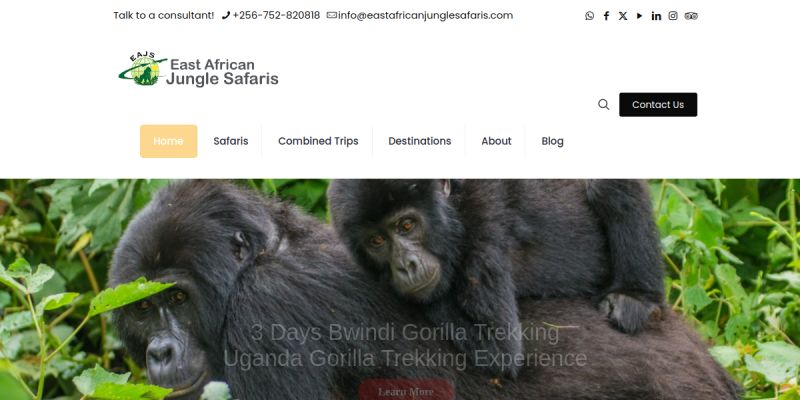 East African Jungle Safaris website preview