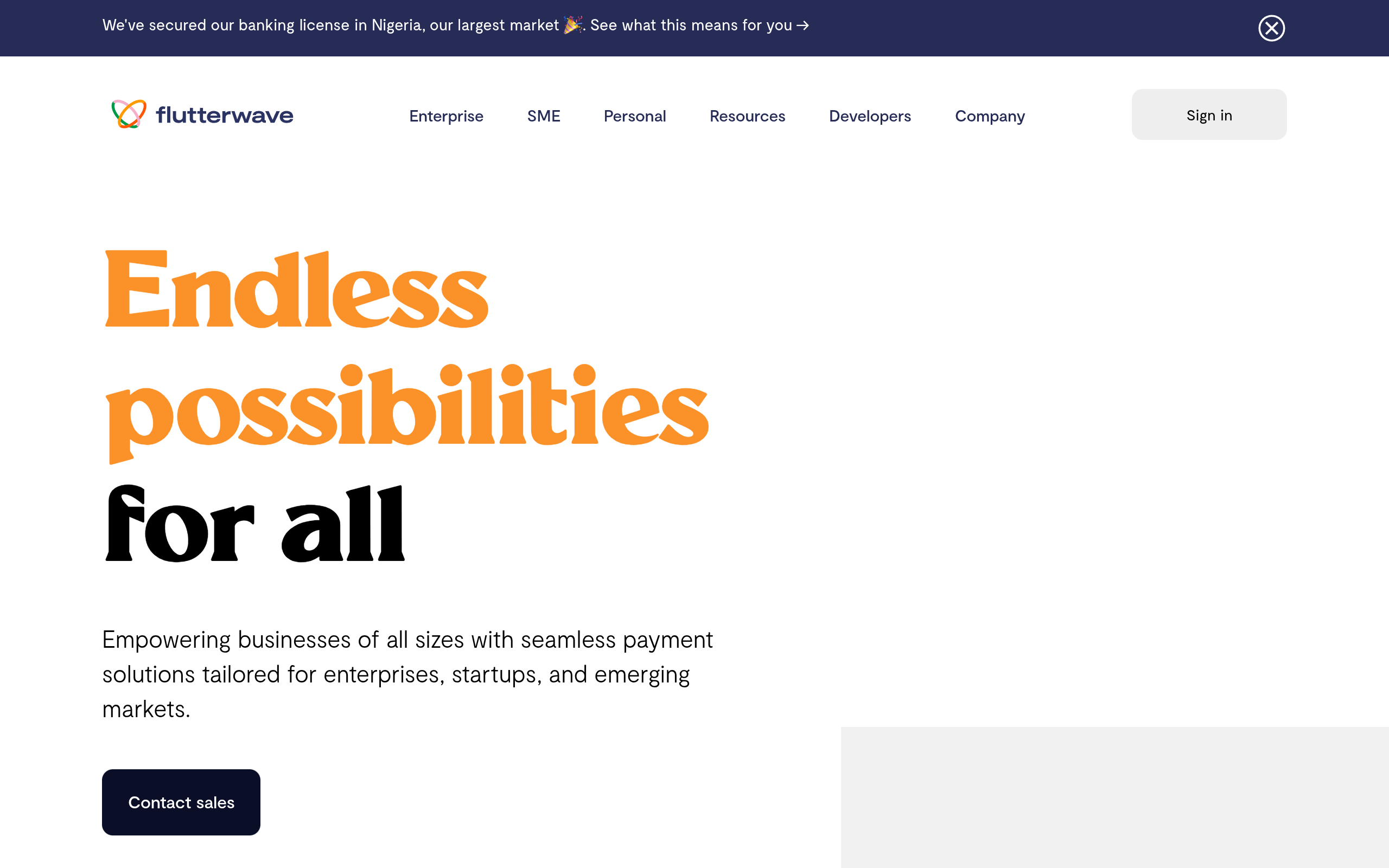 Flutterwave website preview