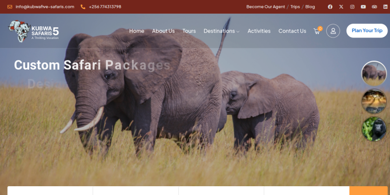 Kumbwa Five Safaris website preview