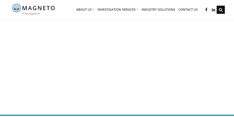 Magneto Investigators website preview