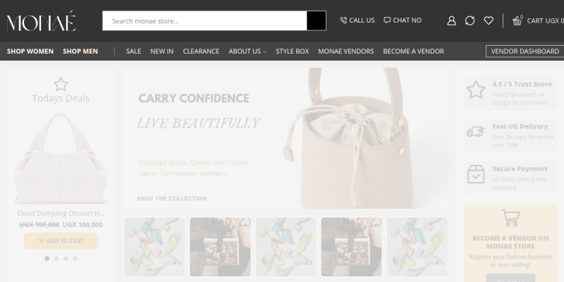Monae Store website preview