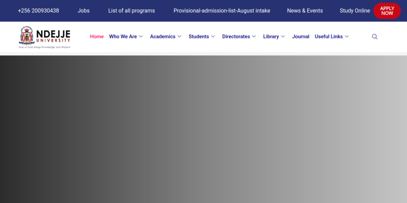 Ndejje University website preview
