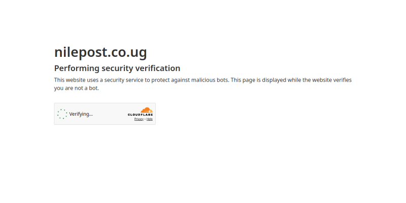 Nile Post website preview