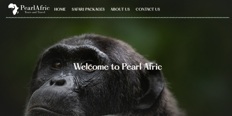 Pearl Afric Tours and Travel website preview