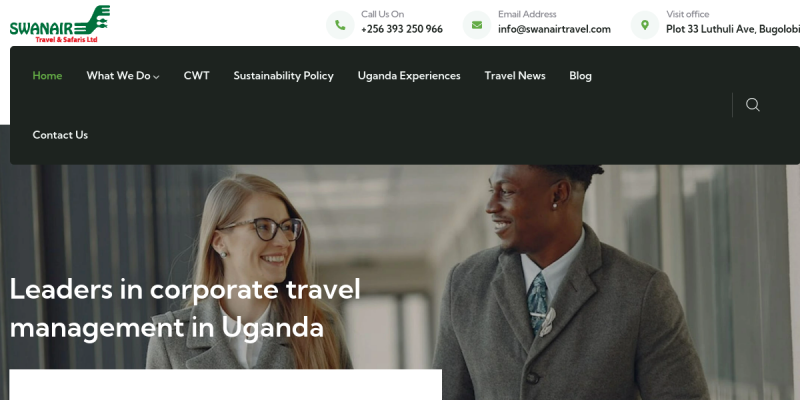 Swanair Travel and Safaris website preview