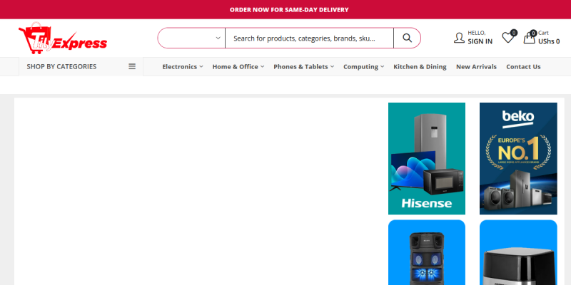TilyExpress website preview
