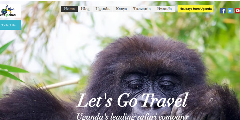 Let's Go Travel website preview