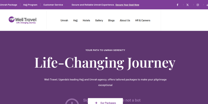  Weli Travel website preview