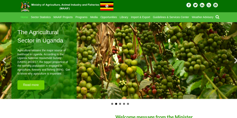 Ministry of Agriculture, Animal Industry and Fisheries website preview
